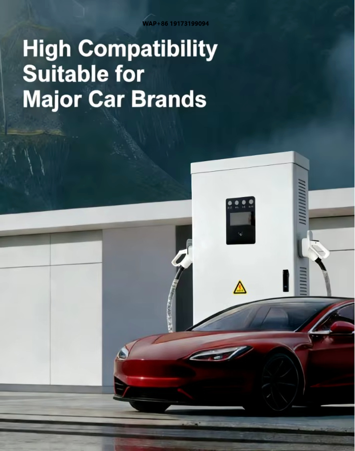 Ev Charging Pile - Colonnina di Ricarica per Veicoli Elettrici