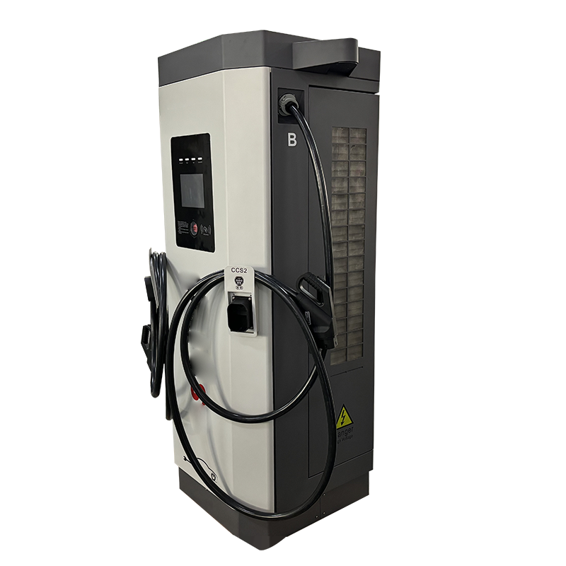Colonnina di Ricarica DC per V - Ev Charging Pile recensione e prezzo