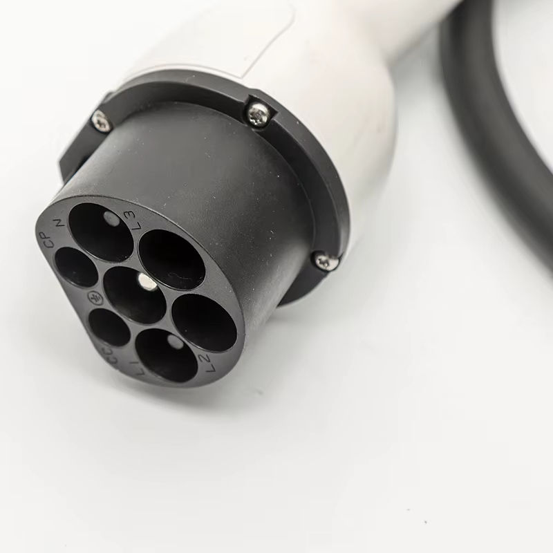 Caricatore per Auto Elettrica  - Ev Charging Cable recensione e prezzo